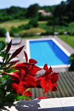 BORA24 - Villa stancija Martina - Kringa