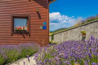 BORA24 - B&B Goski Kotar