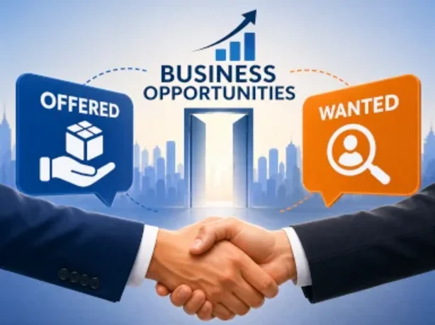 BORA24: business opportunities