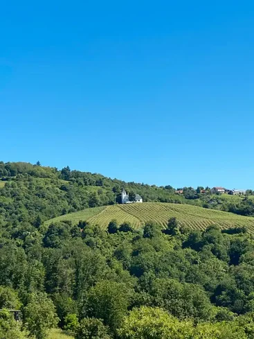 View from the back